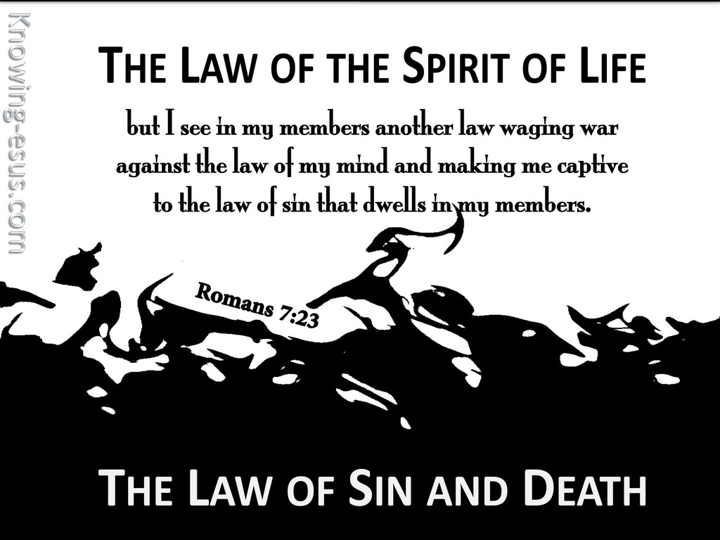 Romans 7:23 The Law Of  The Spirit Of Life (white)